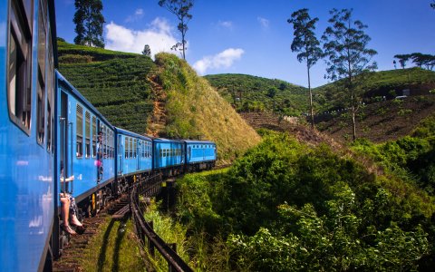 Sri Lanka - podróż wśród herbacianych pól (3).jpg